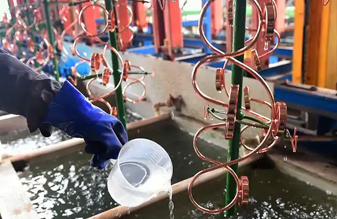 電鍍污水行業(yè)