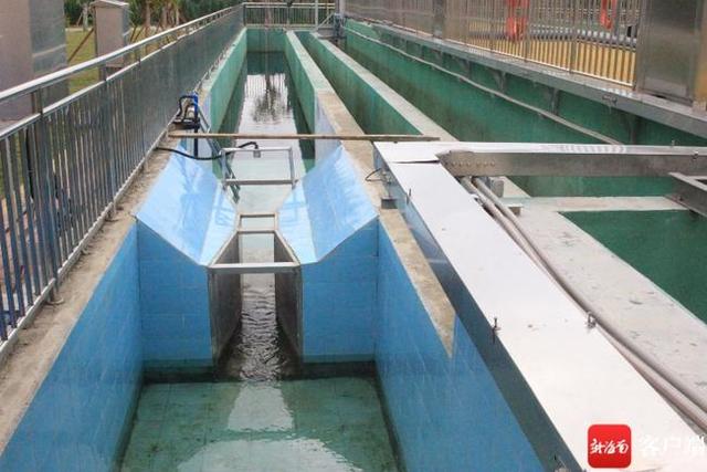 處理廠出水口。