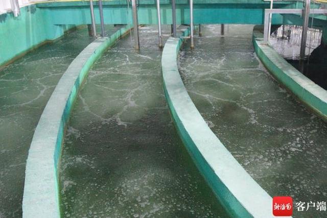 處理廠三級化糞池。