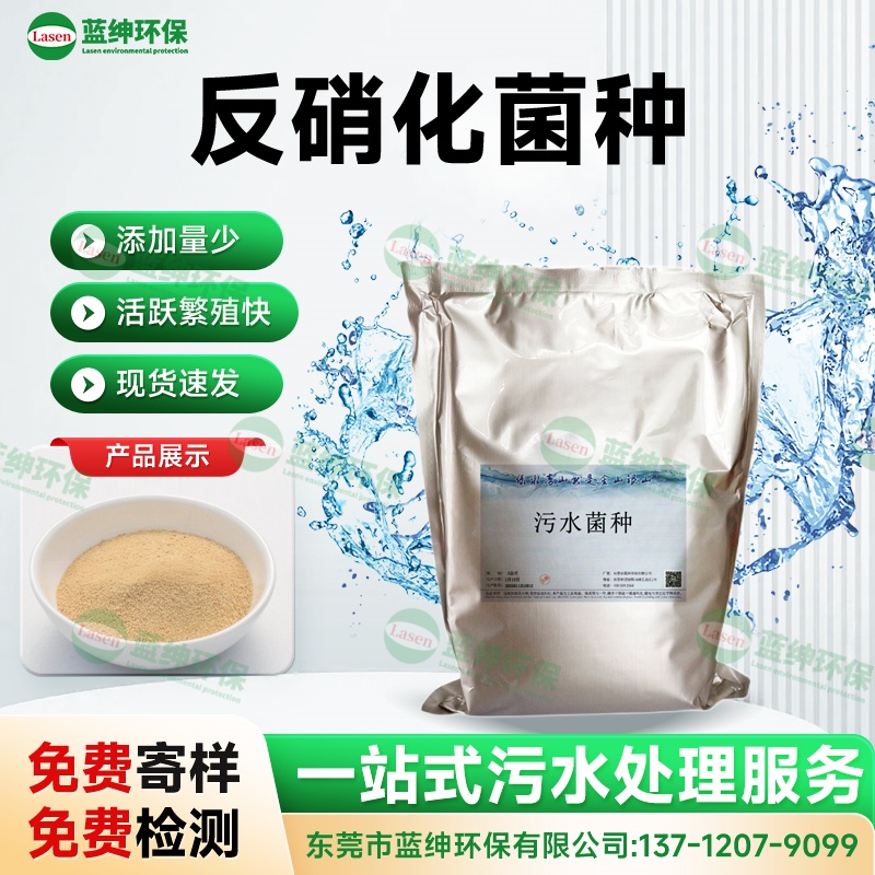 反硝化菌種