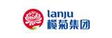 欖菊集團(tuán)